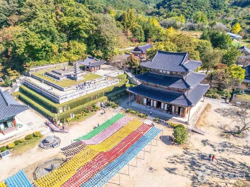 ★보고! 먹고! 마시고!★ 김제 천년고찰 금산사&벽골제 지평선View / 완주 삼례문화예술촌 (버섯전골+음료제공) (당일)