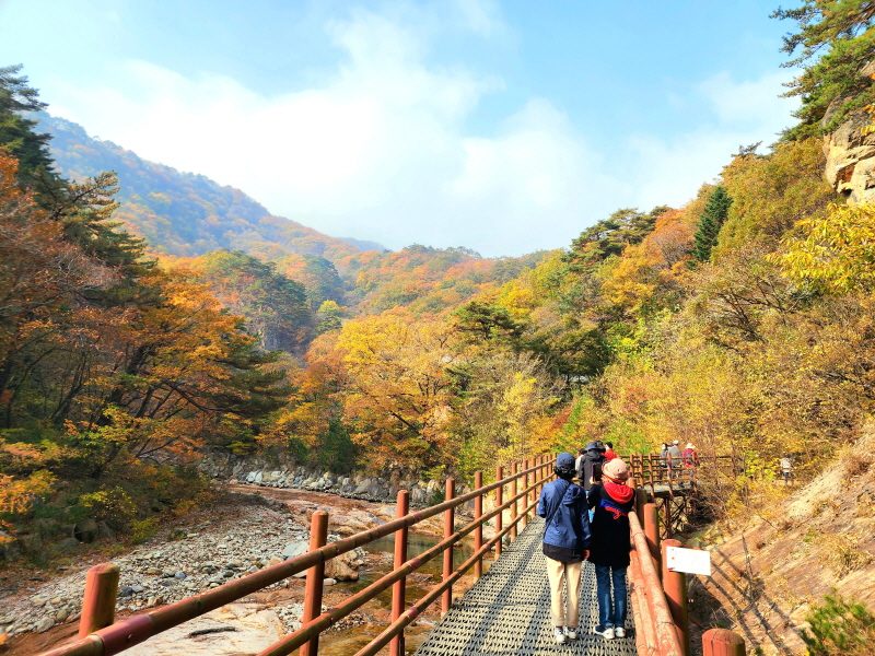 남설악 단풍! 주전골 오색단풍 트래킹(용소폭포~선녀탕~오색약수터) / 남대천 은빛 갈대밭 / 동해바다 ~ 낙산해변 (당일)