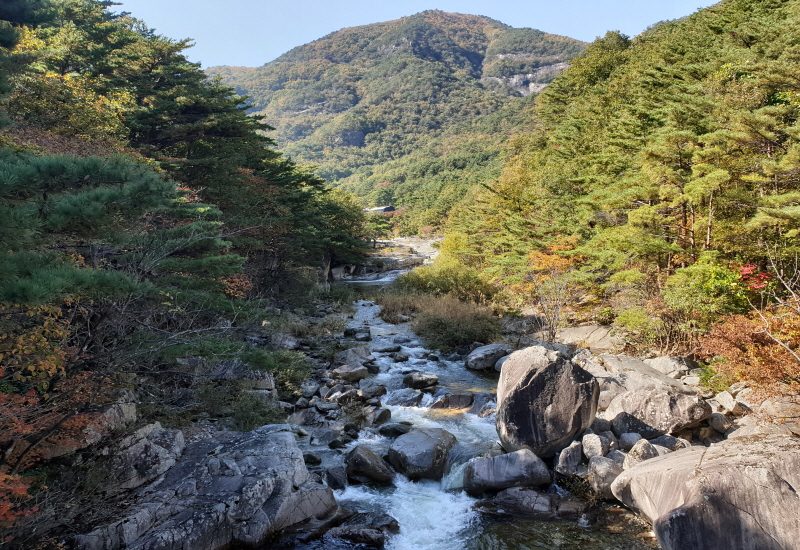 ◆리무진◆ (인기 감성여행) 무릉계곡 단풍 / 어달항 방파제 / 논골담길~도째비골~해랑전망대 / 해안선열차 (당일)