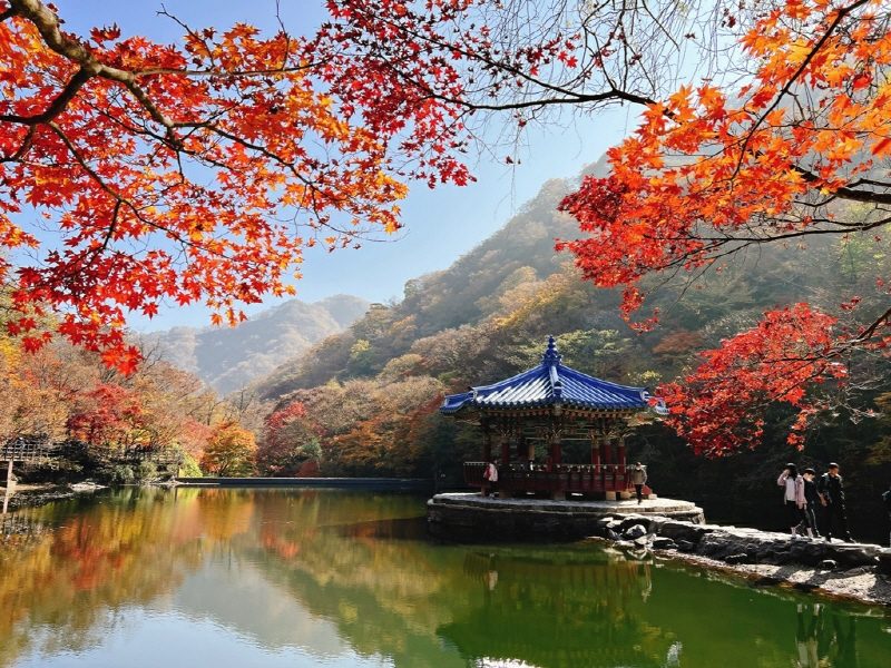 ◆리무진◆ (남도단풍 BIG 3) 구례 지리산 천은사 단풍 / 쌍산재 고택 / 정읍 내장산 단풍+ 장성 백양사 애기단풍 / 남도별미 (참게탕+지리산흑돼지+대장금정식) (1박2일)
