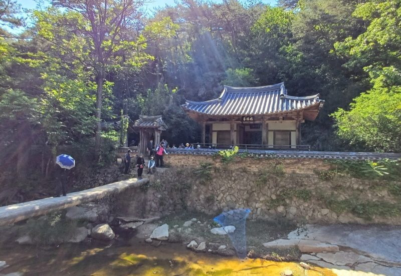 🧡 매주 토요일 출발확정! 🧡 안동의 멋진하루 ~ 만휴정 + 묵계서원 (향낭 주머니 만들기 체험) / 낙동강 선성 수상길 / 유네스코 하회마을 (당일)