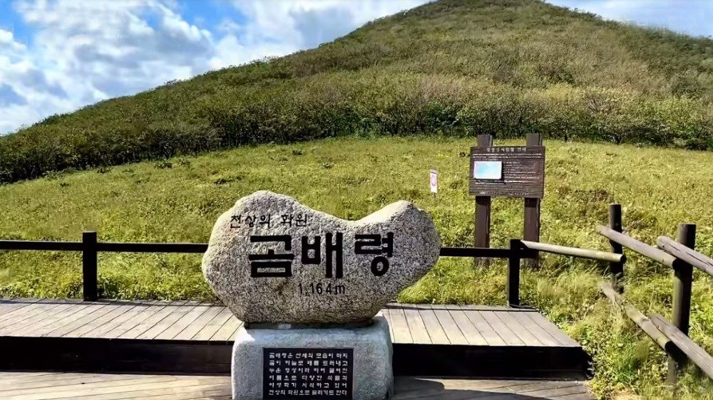 [25번] ~9월30일까지 무료리무진업그레이드진행/곰배령 당일로 가는 천상의 화원 (족욕체험제공)