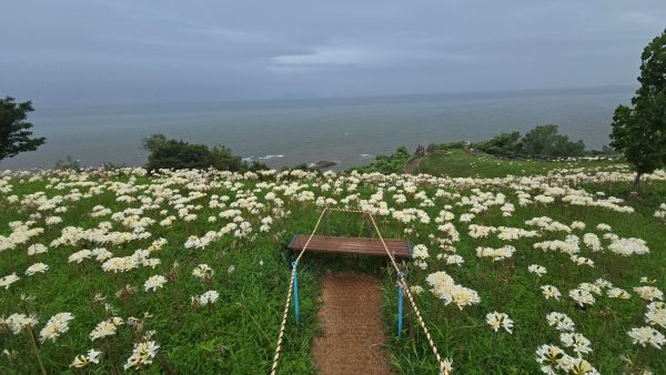 [09-1번][리무진버스]부안 백합코스정식  (백합탕/백합죽/백합구이+갑오징어무침) 마실길 붉노랑 상사화 /내소사 + 채석강