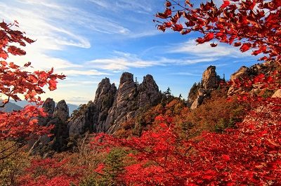 [34번]B코스 설악산국립공원단풍(흔들/울산바위or토왕성폭포) + 설악향기로스카이워크