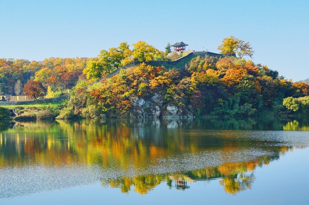 [50번]공주 마곡사 단풍길 + 공산성 둘레길 + 세종국립수목원 가을꽃 / 단풍