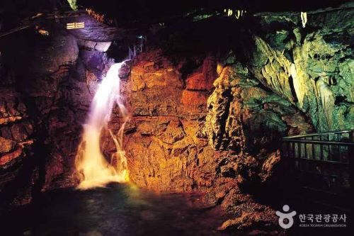 [69번][리무진버스] [삼척 대금굴 + 모노레일] 삼척산채정식(두부전골 + 더덕&황태구이) + 이사부 사자공원