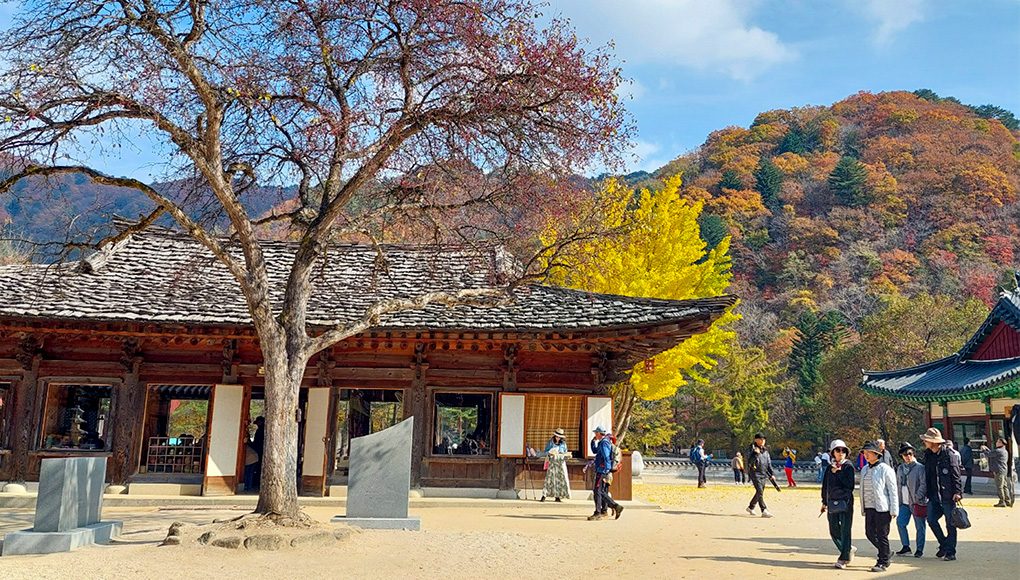 [당일★리무진버스]내설악단풍+백담사+백담계곡단풍+선녀들의놀이터~십이선녀탕