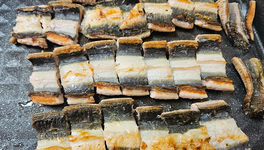 [당일★리무진버스]◈보양식장어~무한리필◈대전맛기행5탄!+대청호오백리길(드라마촬영지)+맨발 트레킹~계족산황톳길+우암사적공원