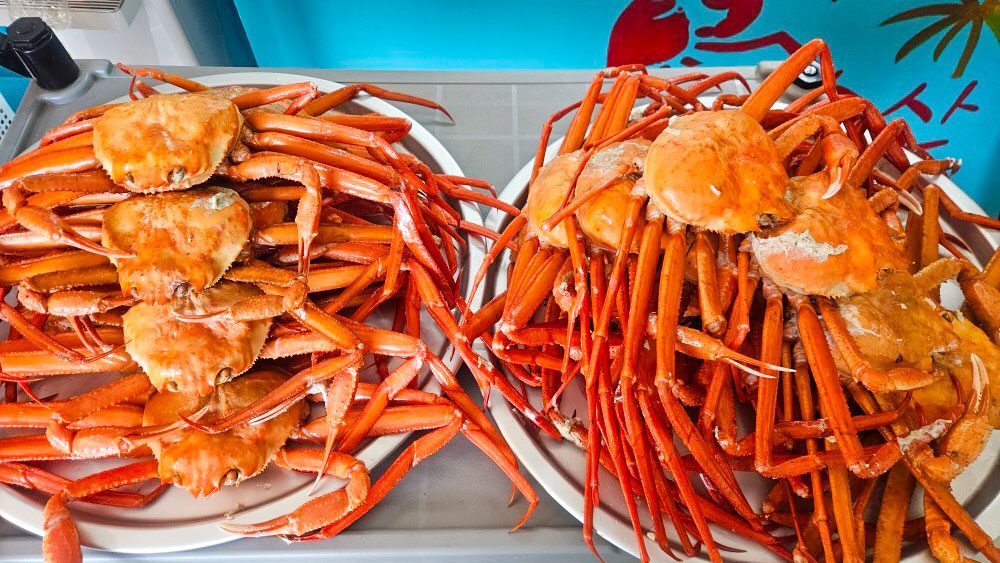 [당일★리무진버스]울진맛기행6탄!◈홍게~무한리필◈(망양의 대해를 만나다)울진왕피천케이블카+등기산스카이워크