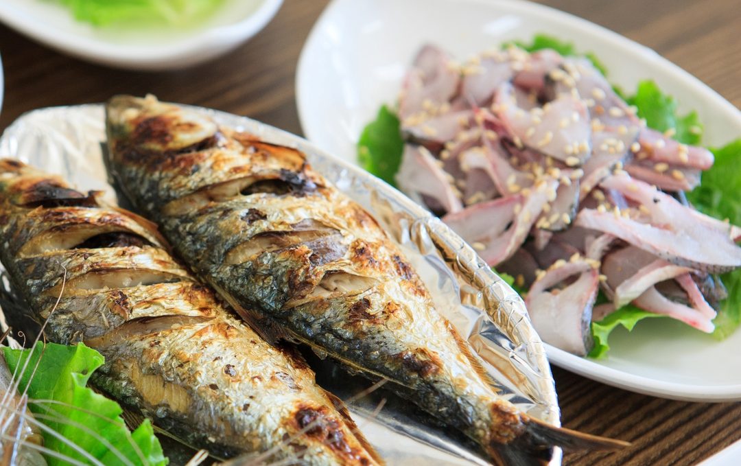 [당일★리무진버스]서천맛기행1탄!풍성한 맛과 재미!서천홍원항(자연산~전어+꽃게)+[전어구이+전어무침제공]+동백나무숲+장항스카이워크