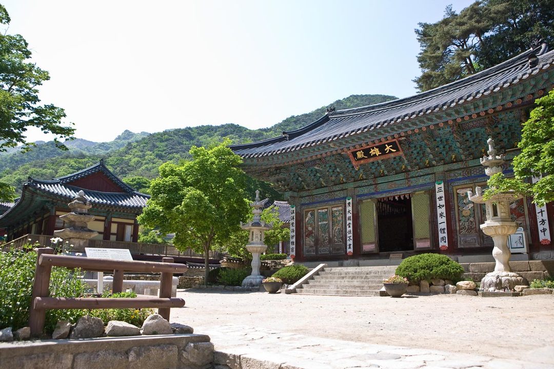 [당일★리무진버스]『서부내륙-미식기행』계룡산이 차린 산채 한 상~동학사+향적산 치유의숲+공주한옥마을(백제차체험)