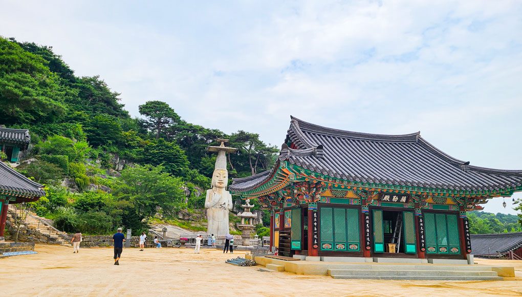 [당일★리무진버스]『서부내륙-미식기행』100년 양촌, 막걸리 학교~양촌 와이너리체험+탑정호출렁다리+관촉사