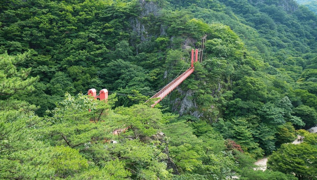 [당일]순창맛기행15탄!힐링의산책~강천산구름다리(강천산군립공원)+섬진강을 따라 나들이~국내최장′순창채계산출렁다리+한우불고기정식