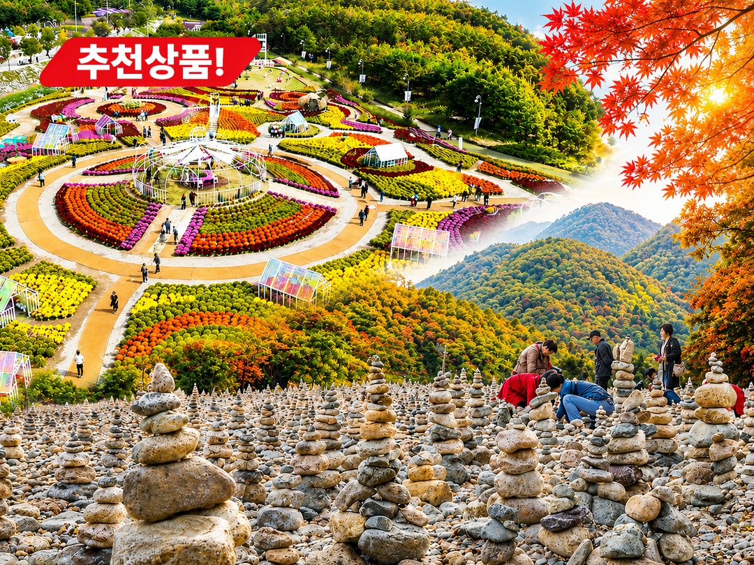 [C-185C] 인제 가을꽃축제+ 인제백담사(축제기간 9/24일(목)~10/11일(일))