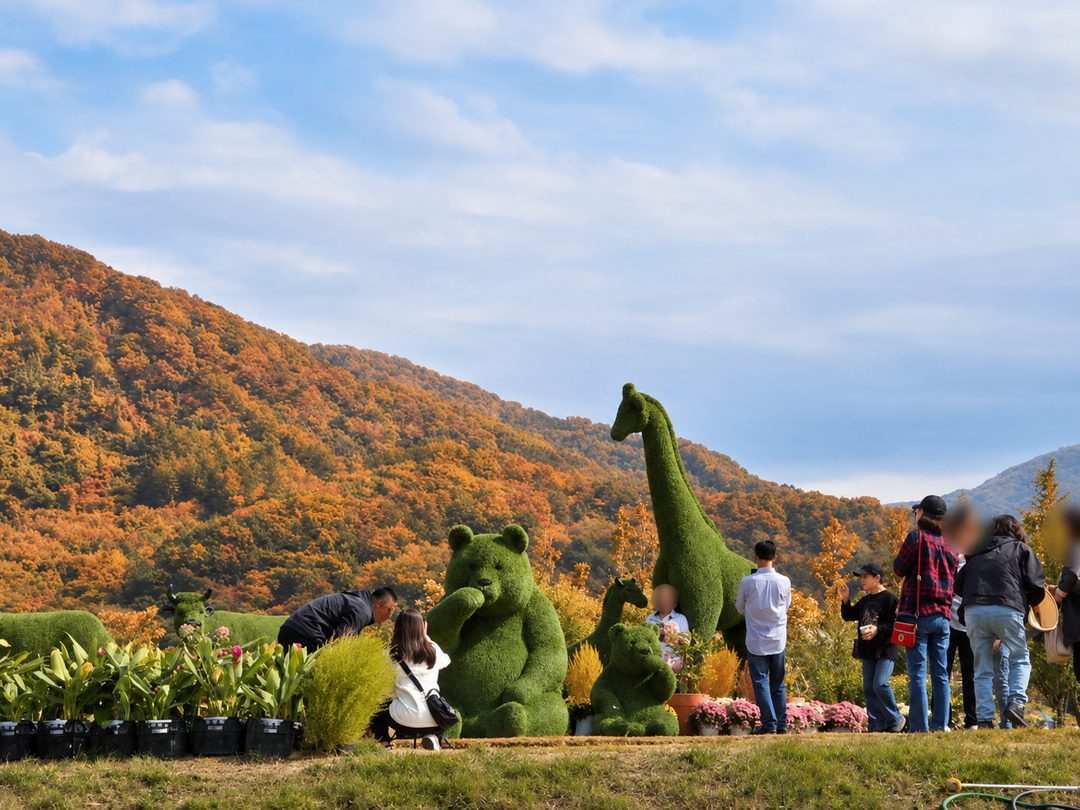 [C-193A] 한탄강 가든페스타+한탄강 잔도길