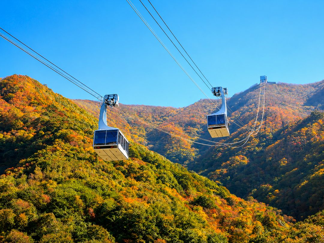 [B-47]부산+밀양 얼음골 단풍 가을 여행 1박2일