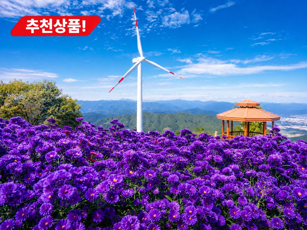 [C-115C] 추천코스 거창 감악산 아스타국화축제&무장애나눔길+창포원