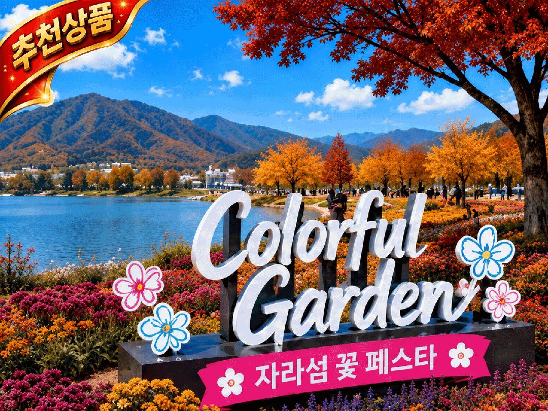[C-186A] 자라섬 꽃 축제+춘천 삼악산 케이블카 단풍+골든트리 카페