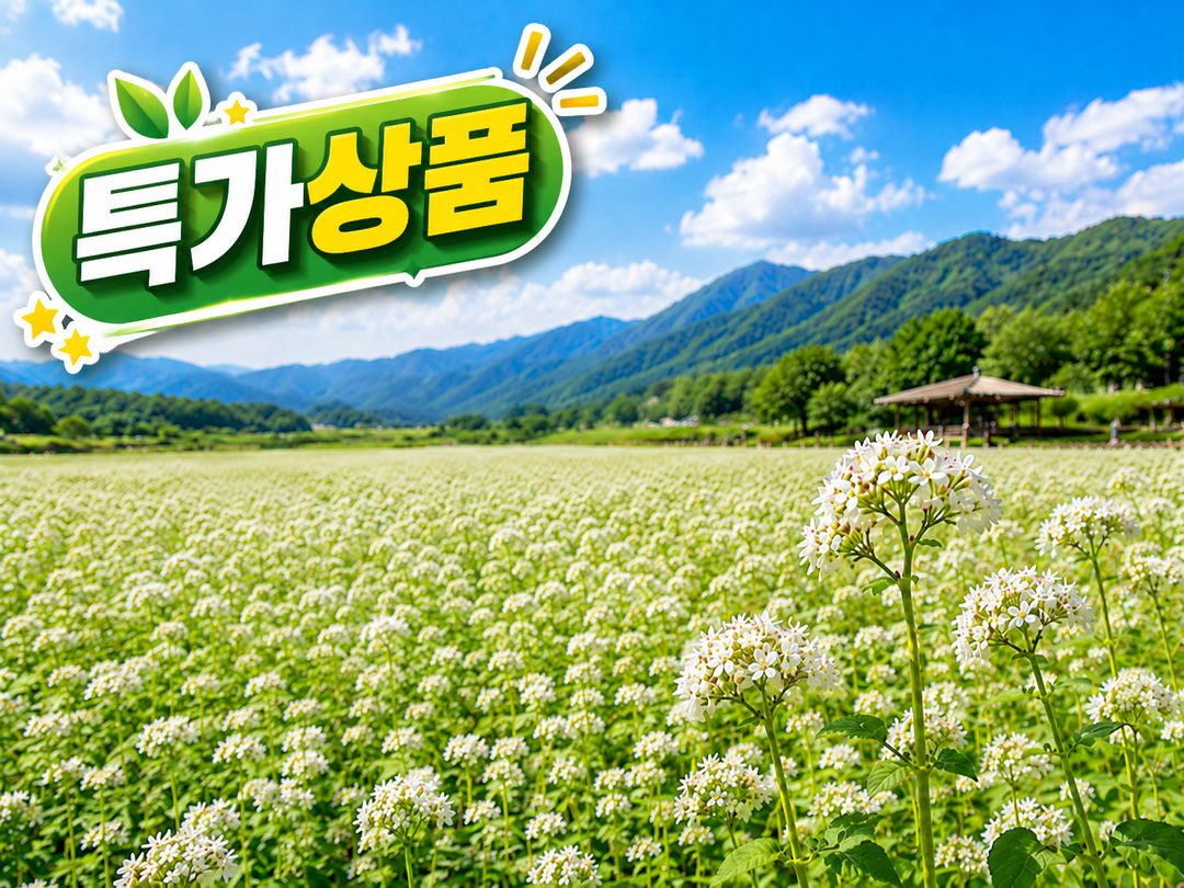 [C-215] 청주 추정리 메밀밭+미동산수목원+상당산성