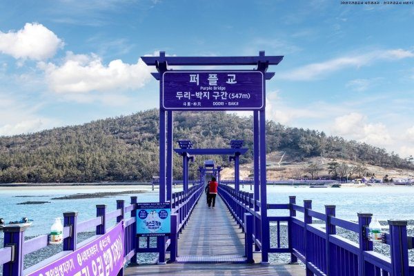 [기차 여행] [KTX-1박]♠호텔♠남도힐링 (섬티아고/신안퍼플섬/목포유달산)