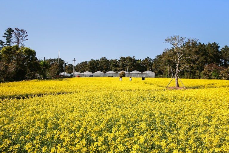제주도 여름휴가 2박3일
