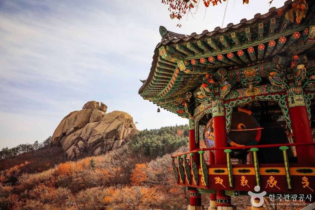 [리무진] 금강산 화암사, 송지호바다하늘길, 울산바위 뷰 끝판왕