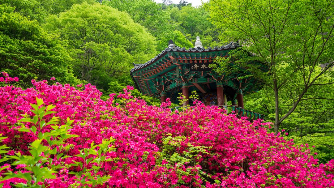 [86][순창]강천산 병풍폭포, 강천사 + 고추장 마을 + 베르자르당 카페 + 향가터널 (당일)